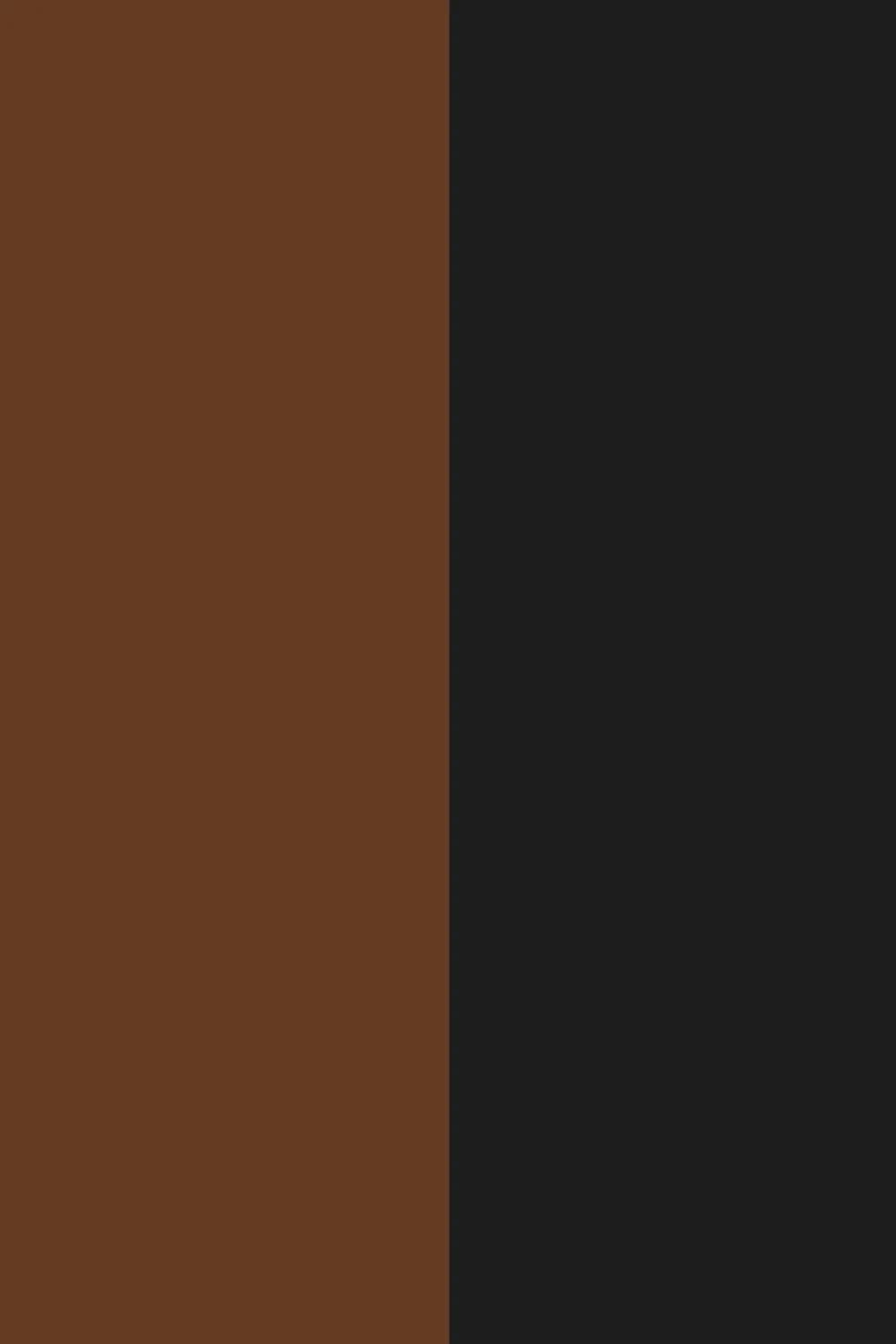Black/Bronze