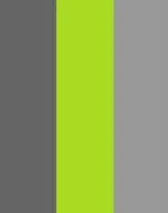 Dark Grey/Lime