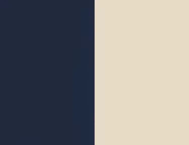 Navy/Brass