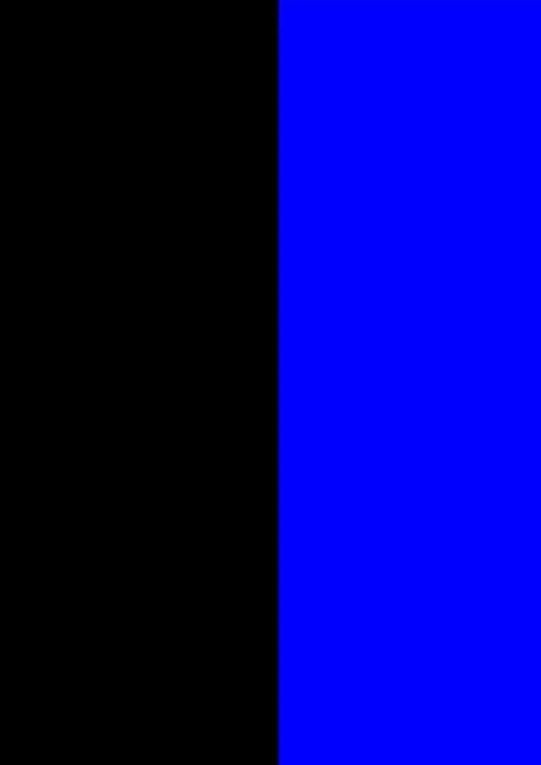 Black/Blue
