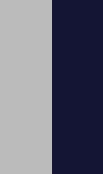 Navy/Dark grey