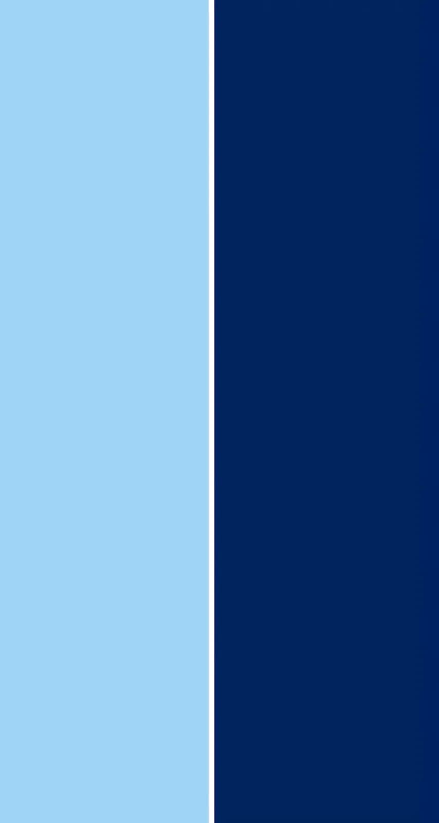 Light Blue/Navy